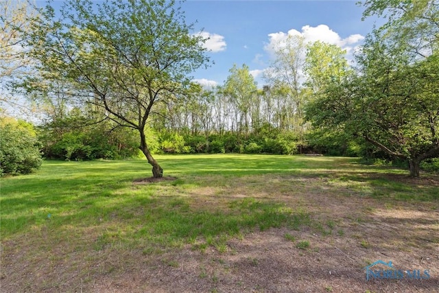 7413 Sylvania Ave, Sylvania, OH 43560 - view of green lawn
