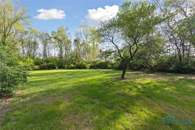 7413 Sylvania Ave, Sylvania, OH 43560 - view of grassy yard