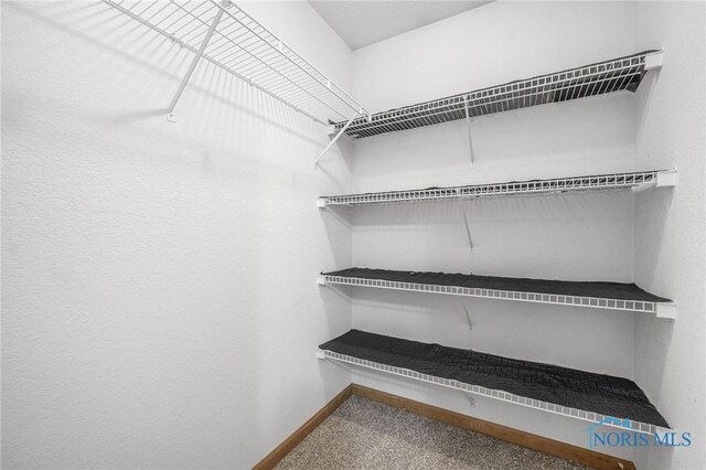 7060 Joannes Way, Maumee, OH 43537 - walk in closet with carpet flooring