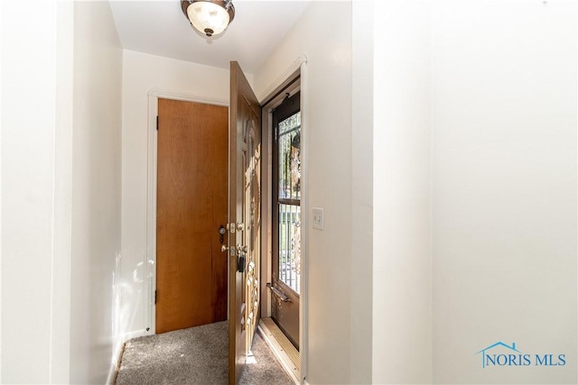doorway featuring plenty of natural light, baseboards, and carpet floors