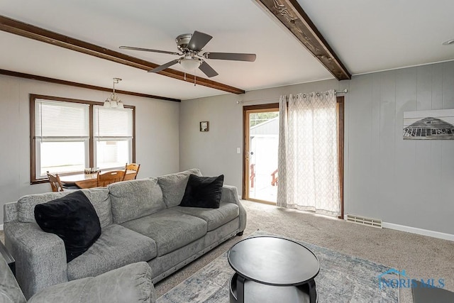 3134 Cragmoor Ave, Toledo, OH 43614 - living room with carpet flooring, ceiling fan, beam ceiling, and baseboards