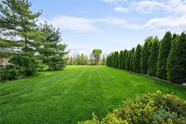 1122 Cedar Creek Dr, Northwood, OH 43619 - photo 45