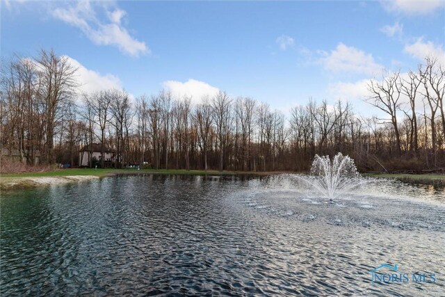 11344 Monclova Rd, Monclova, OH 43542 - photo 46