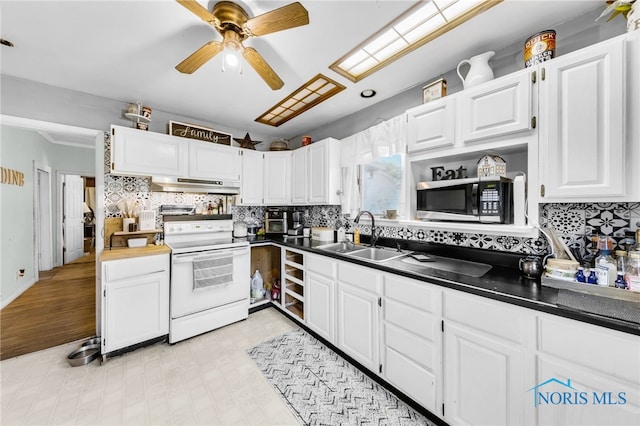 1037 Stevenson St, Napoleon, OH 43545 - kitchen featuring white electric range oven, a sink, stainless steel microwave, under cabinet range hood, and white cabinetry