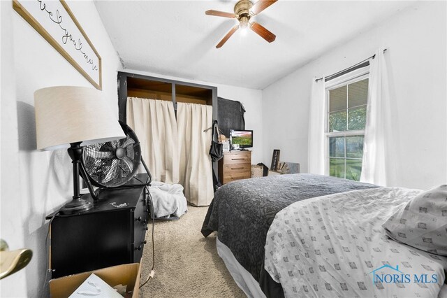 1037 Stevenson St, Napoleon, OH 43545 - bedroom with carpet floors and a ceiling fan