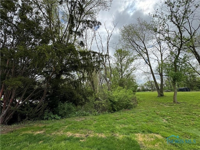 view of nature