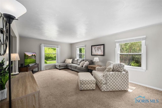 5511 Bent Oak Rd, Sylvania, OH 43560 - living room with carpet and baseboards