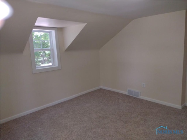 S832 County Road 20b, Archbold, OH 43555 - bonus room with lofted ceiling, carpet flooring, and baseboards
