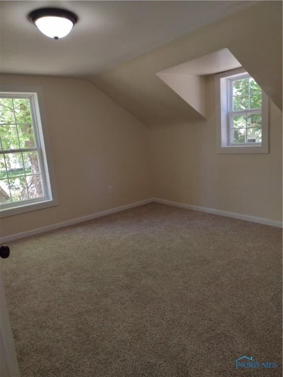 S832 County Road 20b, Archbold, OH 43555 - bonus room with lofted ceiling, carpet, and baseboards