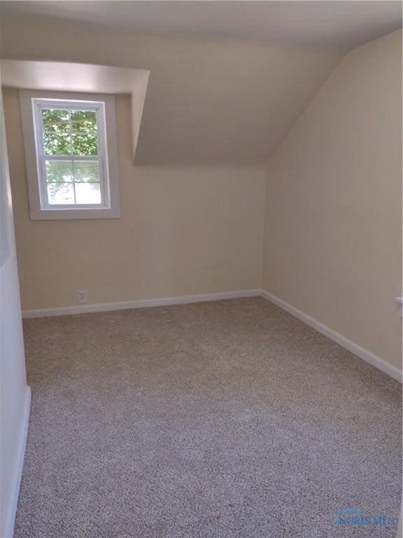 S832 County Road 20b, Archbold, OH 43555 - additional living space featuring carpet, lofted ceiling, and baseboards