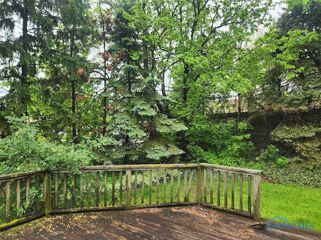 4405 Oldenburg Dr, Toledo, OH 43611 - view of deck