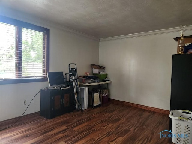 4405 Oldenburg Dr, Toledo, OH 43611 - photo 16