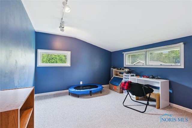 1639 Brookside Dr, Findlay, OH 45840 - office featuring carpet, rail lighting, vaulted ceiling, and healthy amount of natural light