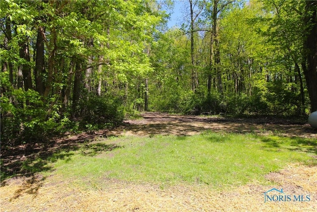 630 N Schwamberger Rd, Holland, OH 43528 - photo 32