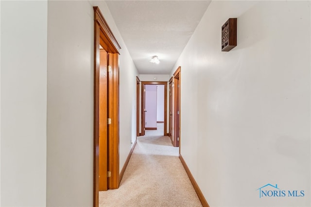 1629 Lockwood Rd, Findlay, OH 45840 - photo 18