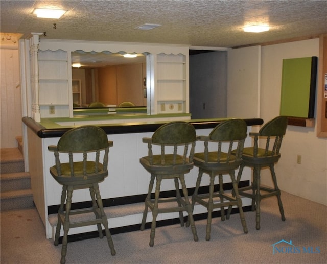1527 S Ct, Findlay, OH 45840 - bar featuring carpet and a textured ceiling