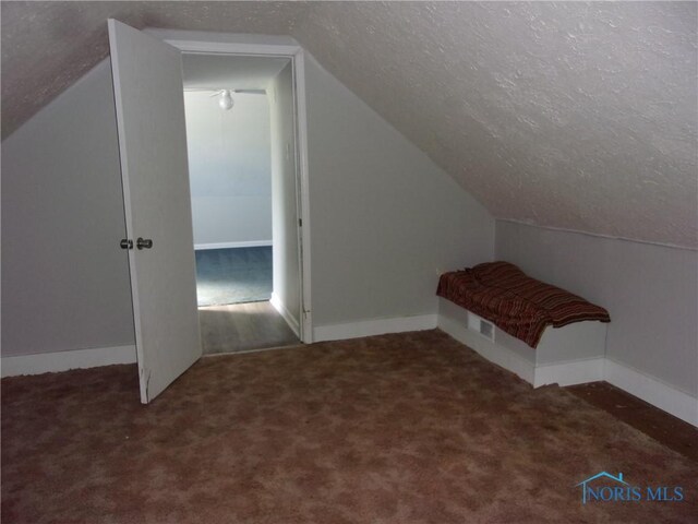 417 Race St, Clyde, OH 43410 - additional living space with a textured ceiling, vaulted ceiling, carpet, and baseboards