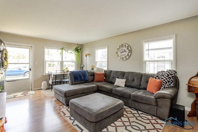 210 Willamont Rd, Toledo, OH 43612 - living area with light wood finished floors and plenty of natural light