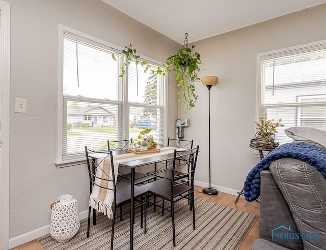 210 Willamont Rd, Toledo, OH 43612 - dining room featuring plenty of natural light, light wood-style floors, and baseboards