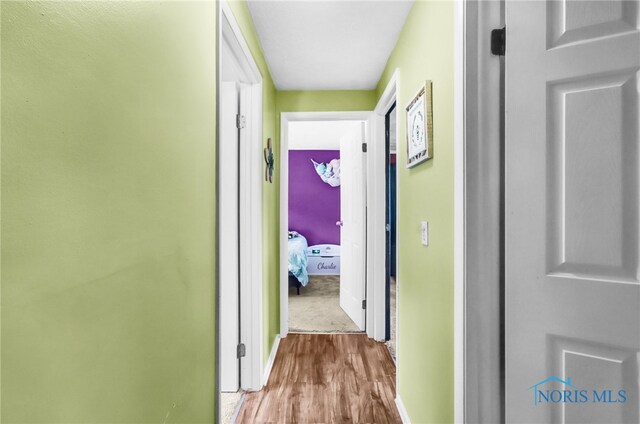 5956 E Pembridge Dr, Toledo, OH 43615 - hallway with wood finished floors and baseboards