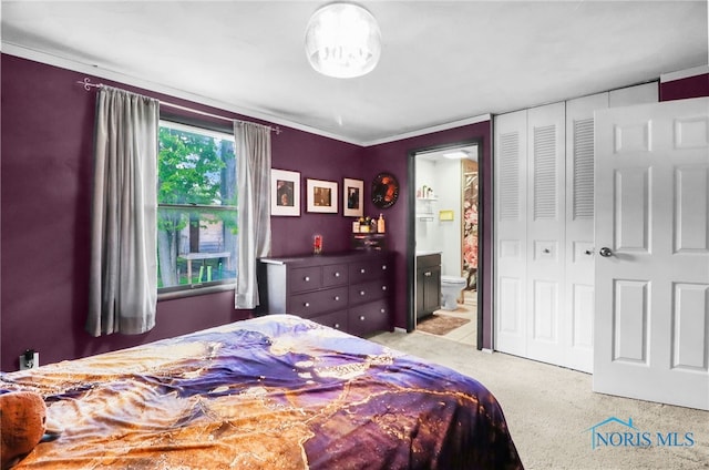 5956 E Pembridge Dr, Toledo, OH 43615 - bedroom with light carpet, ensuite bathroom, and a closet