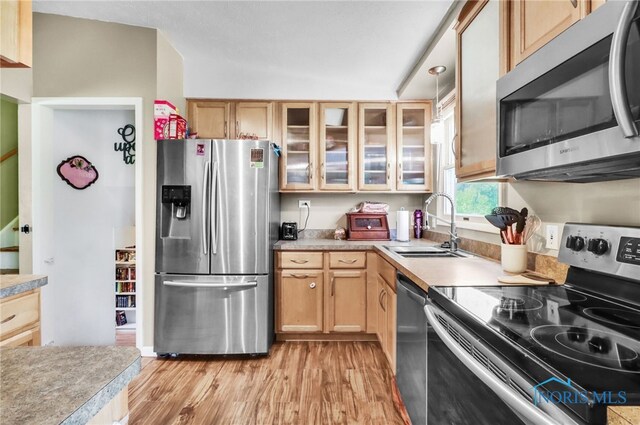 5956 E Pembridge Dr, Toledo, OH 43615 - kitchen featuring stainless steel appliances, a sink, light wood finished floors, glass insert cabinets, and light countertops