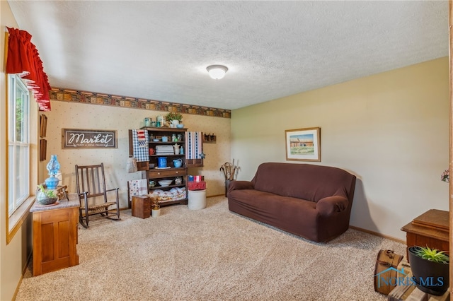 8012 County Highway 55, Upper Sandusky, OH 43351 - living area featuring carpet flooring, a textured ceiling, and baseboards