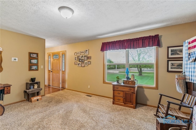 8012 County Highway 55, Upper Sandusky, OH 43351 - living area with carpet, a textured ceiling, and baseboards