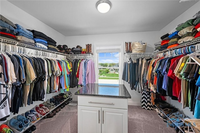 9575 Newbury Ln, Whitehouse, OH 43571 - walk in closet featuring carpet floors