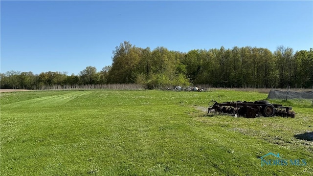 16820 Gipe Rd, Ney, OH 43549 - view of grassy yard with a view of rural / pastoral area