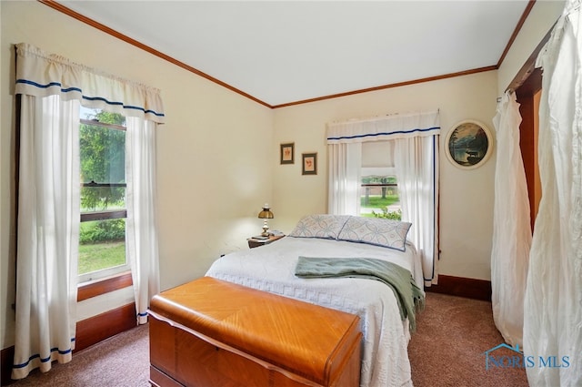 7438 Yawberg Rd, Whitehouse, OH 43571 - bedroom with carpet floors, multiple windows, crown molding, and baseboards