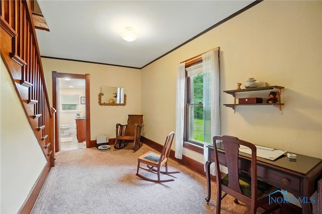 7438 Yawberg Rd, Whitehouse, OH 43571 - carpeted office with ornamental molding and baseboards
