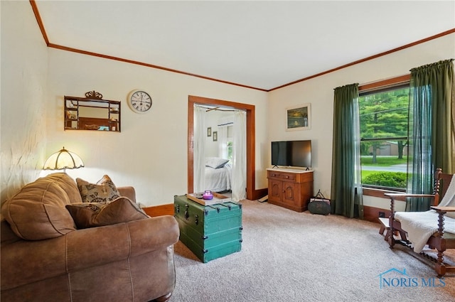 7438 Yawberg Rd, Whitehouse, OH 43571 - living area with light carpet and crown molding