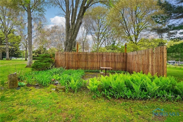 7438 Yawberg Rd, Whitehouse, OH 43571 - view of yard