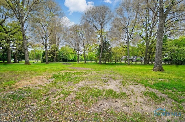 7438 Yawberg Rd, Whitehouse, OH 43571 - view of yard