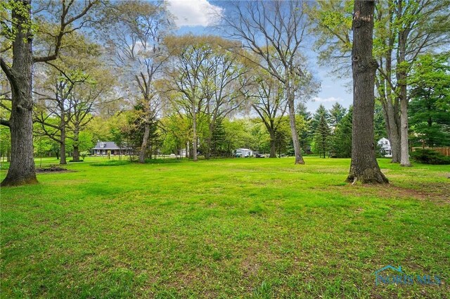 7438 Yawberg Rd, Whitehouse, OH 43571 - view of yard featuring view of scattered trees
