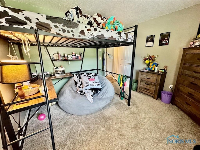 203 Oak Park Dr, Hicksville, OH 43526 - bedroom featuring a textured ceiling and carpet flooring