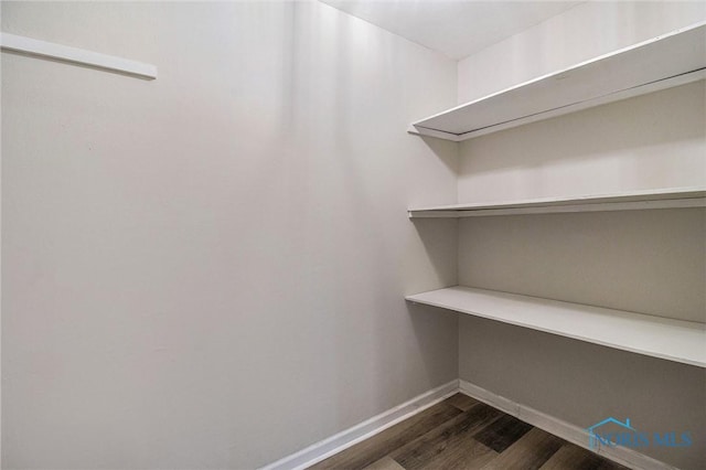 walk in closet with dark wood finished floors