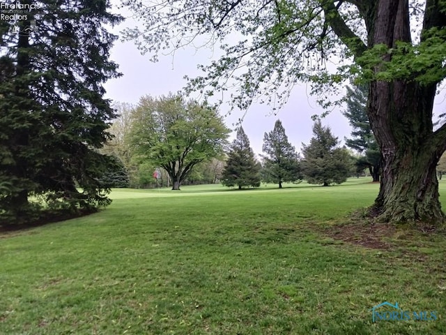 1875 State Route 101, Clyde, OH 43410 - view of green lawn