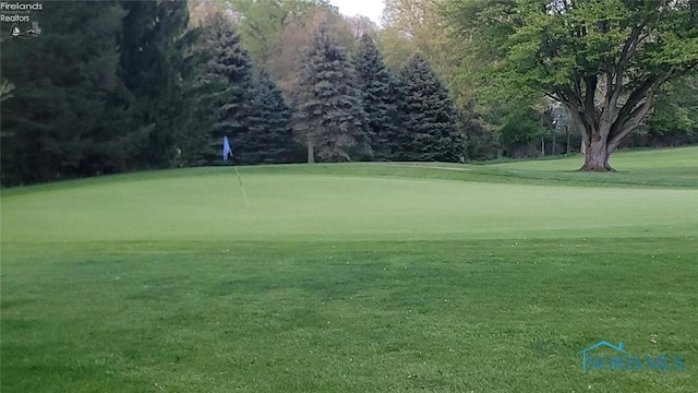 1875 State Route 101, Clyde, OH 43410 - surrounding community featuring a lawn, an area to practice putting, and golf course view