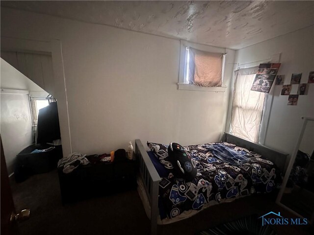 3390 Woodrow Blvd, Toledo, OH 43608 - photo 9