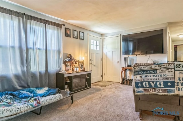6690 County Road 219, Bellevue, OH 44811 - view of carpeted bedroom