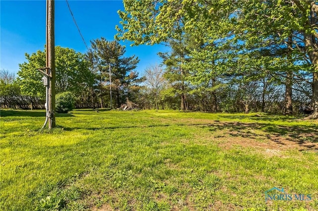 6690 County Road 219, Bellevue, OH 44811 - view of green lawn