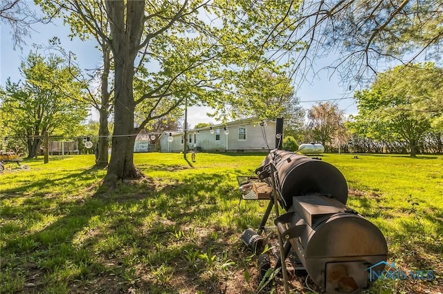 6690 County Road 219, Bellevue, OH 44811 - view of yard