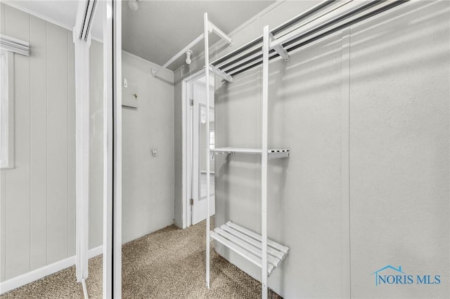 21 Pennsylvania Ave, Waterville, OH 43566 - spacious closet with carpet flooring