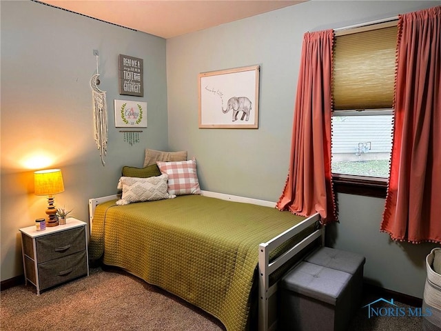 41 Salome Cir, Bluffton, OH 45817 - carpeted bedroom featuring baseboards
