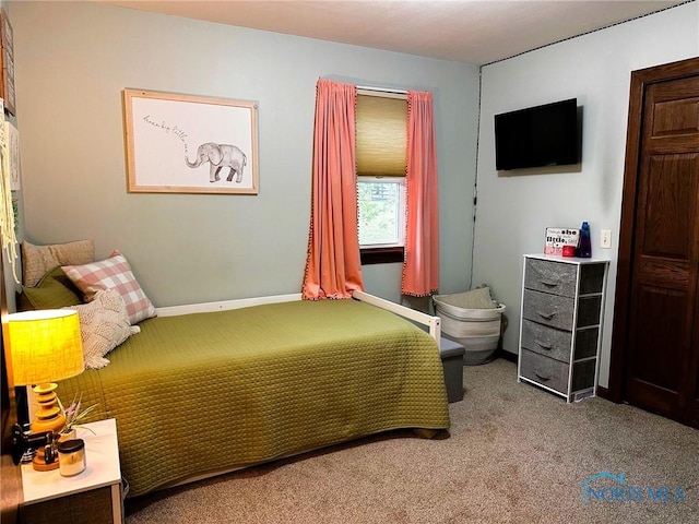 41 Salome Cir, Bluffton, OH 45817 - bedroom featuring carpet and baseboards