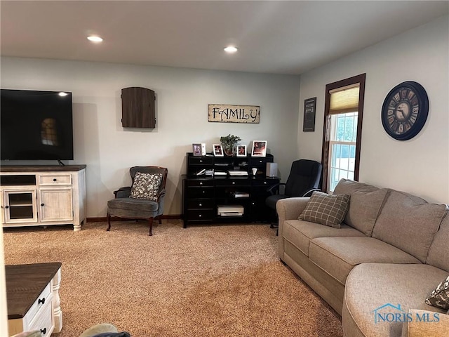 41 Salome Cir, Bluffton, OH 45817 - living area featuring light colored carpet and recessed lighting