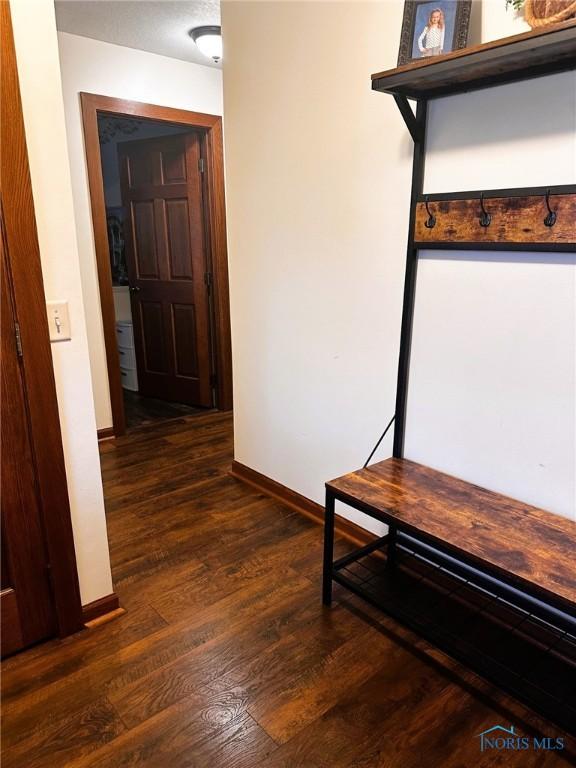 41 Salome Cir, Bluffton, OH 45817 - hall with wood finished floors and baseboards