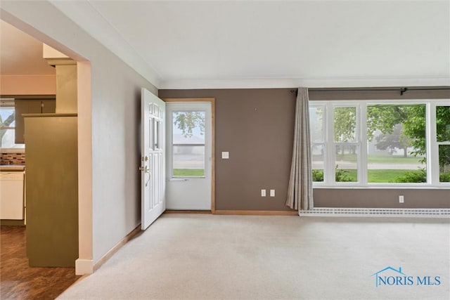 1208 Lindau St, Archbold, OH 43502 - foyer entrance featuring baseboard heating, carpet, and baseboards